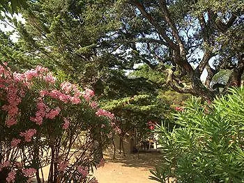 Village De Vacances La Croix Du Sud Caramontino Курортный комплекс