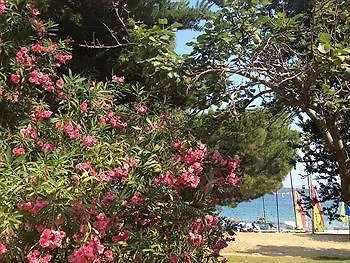 Курортный комплекс Village De Vacances La Croix Du Sud Caramontino Дзондза
