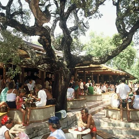 Village De Vacances La Croix Du Sud Caramontino Курортный комплекс Дзондза