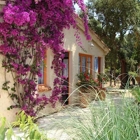 Village De Vacances La Croix Du Sud Caramontino Курортный комплекс